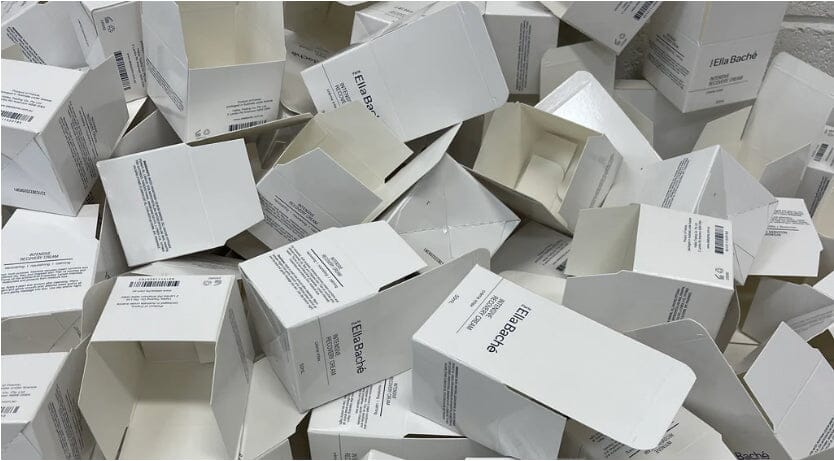 Celebrating World Environment Day